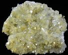 Plate Of Gemmy, Chisel Tipped Barite Crystals - Mexico #78138-2